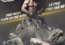 Xtramax For Men điều trị yếu sinh lý